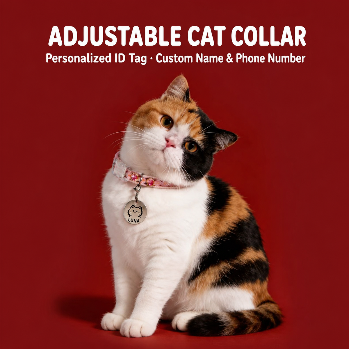 Full body cat wearing pink personalized collar with LUNA tag