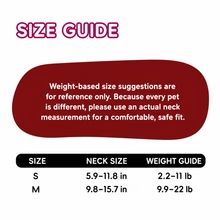 Colorful cat collar personalization guide