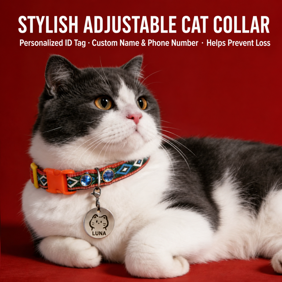 Full body cat wearing southwest collar